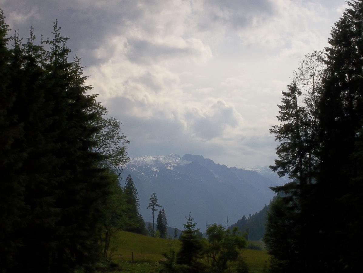 Haus Wastl Lägenhet Rußbach am Paß Gschütt Exteriör bild