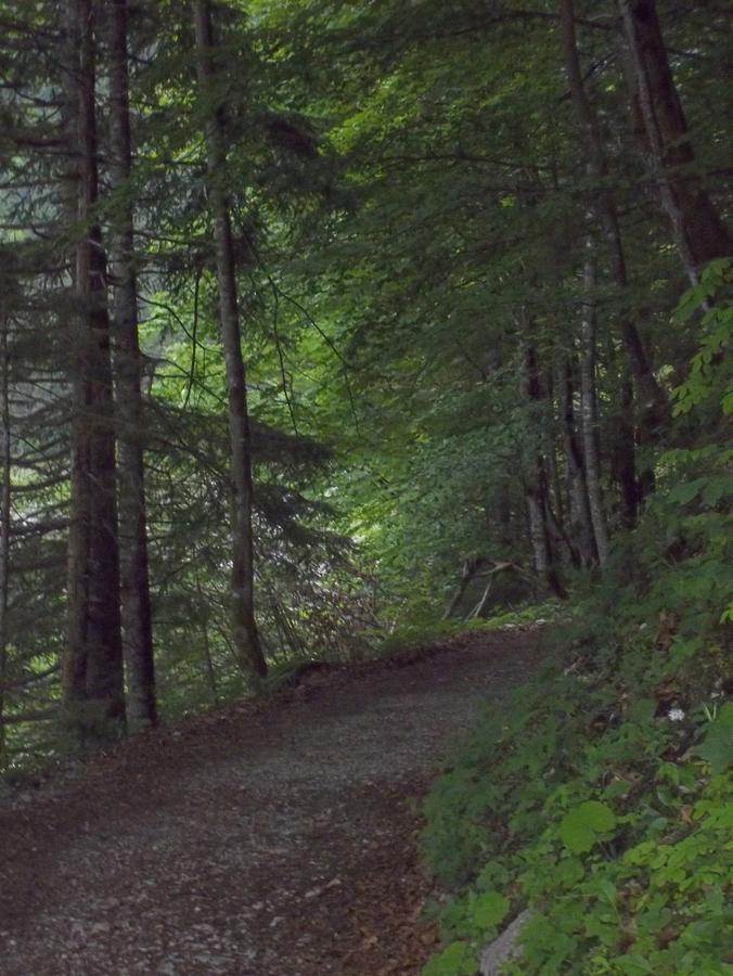Haus Wastl Lägenhet Rußbach am Paß Gschütt Exteriör bild