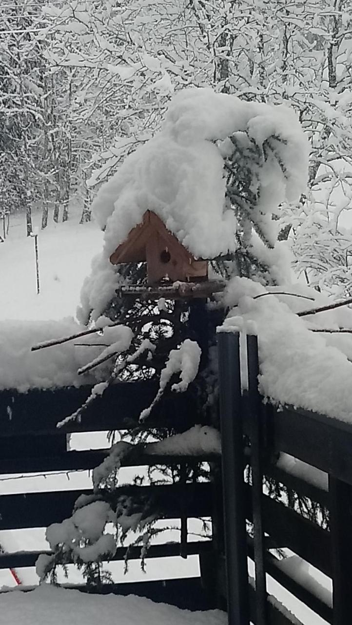 Haus Wastl Lägenhet Rußbach am Paß Gschütt Exteriör bild